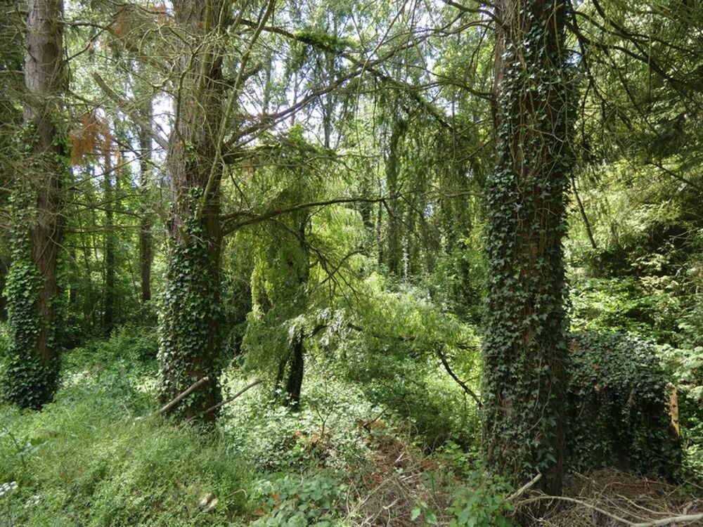 proche de ARGENTAN (61) propriété de 9078 m² de terrain