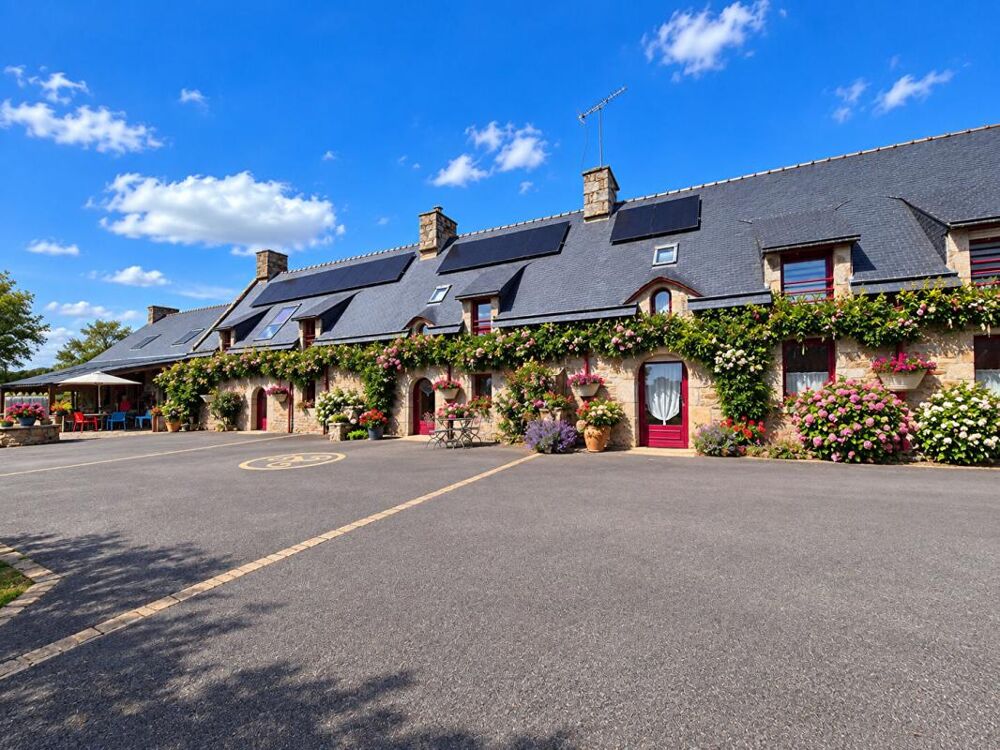 à vendre  Propriété/château Languidic (56440)