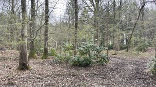  Terrain � vendre 96594 m�