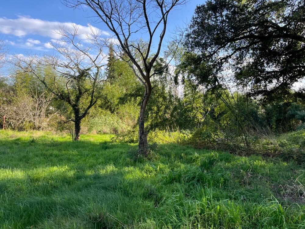Vente Terrain Terrain de 2500m2 constructible centre bourg Rion des landes