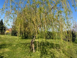  Maison � vendre 6 pi�ces 165 m�