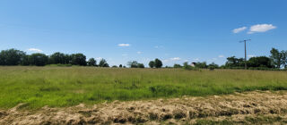  Terrain à vendre 10228 m²
