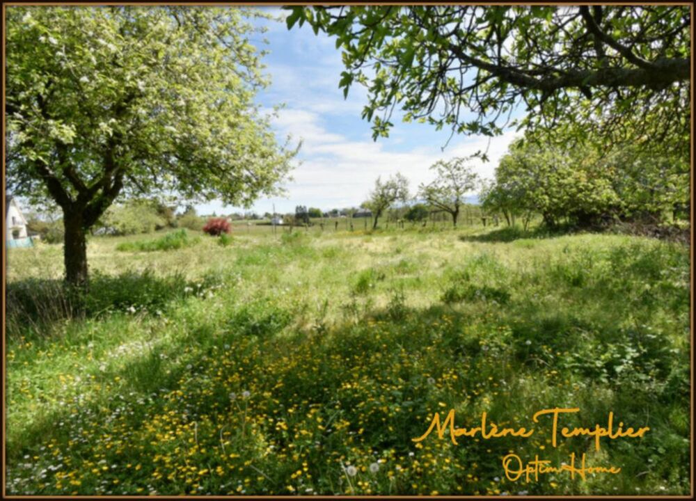 Ferme à rénover sur 3,4 ha de pâtures - vue Pyrénées - LUCQ DE BEARN (64)