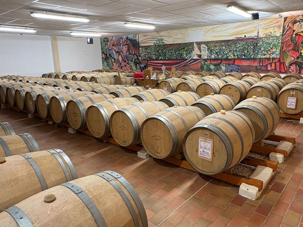   OPPORTUNITÉ EXCEPTIONNELLE, DOMANINE VITICOLE À POMEROL 