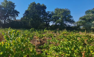  Terrain à vendre 557 m²