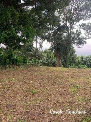  Terrain  vendre 738 m