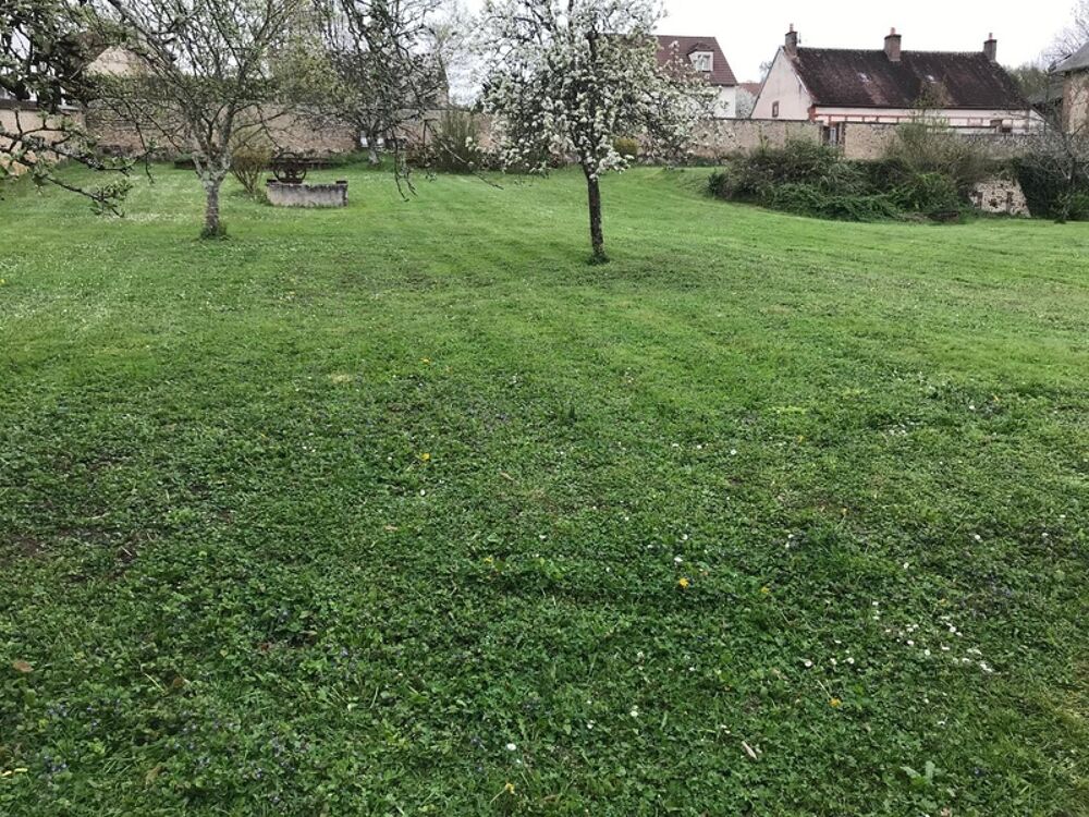 Vente Terrain ? Rare à Bléneau (89220) : Magnifique terrain à bâtir de 2400 m² avec dépendance de charme Bleneau