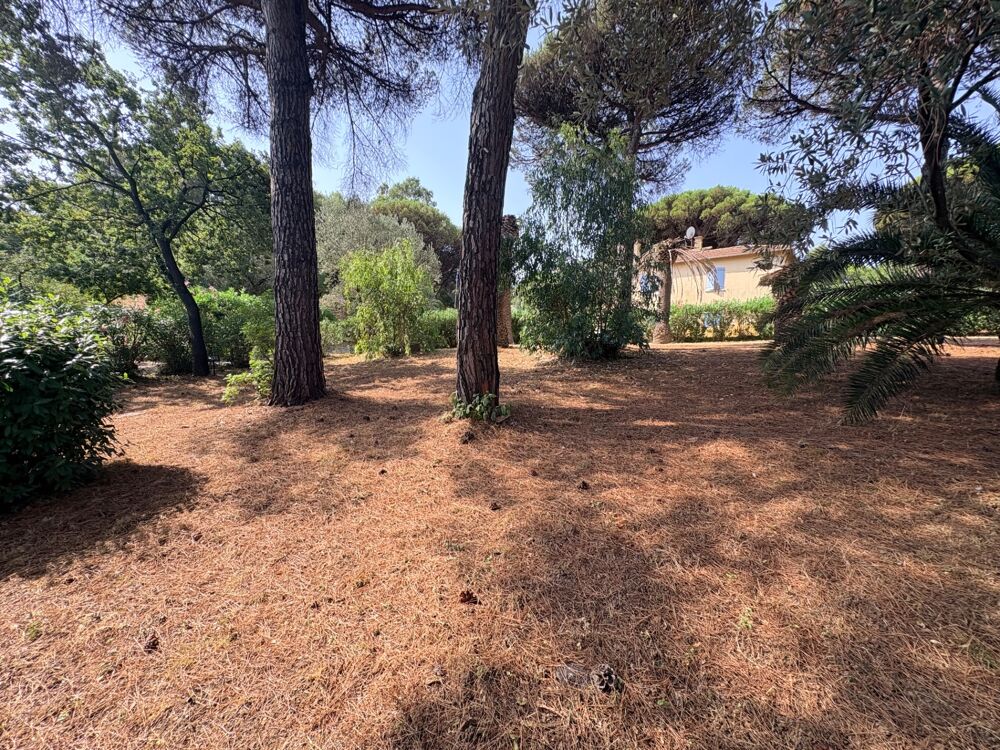 Opportunité rare : Maison avec fort potentiel d'extension / Projet de rénovation ou nouvelle maison