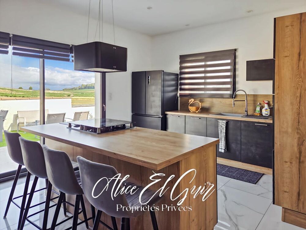 illeneuve Minervois - Maison PP 3 chambres jardin garage