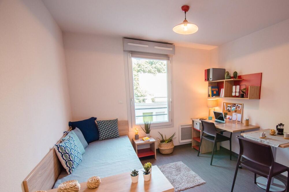 Vente Appartement Spécial Investisseur Studio 19.12 m² Marseille 5