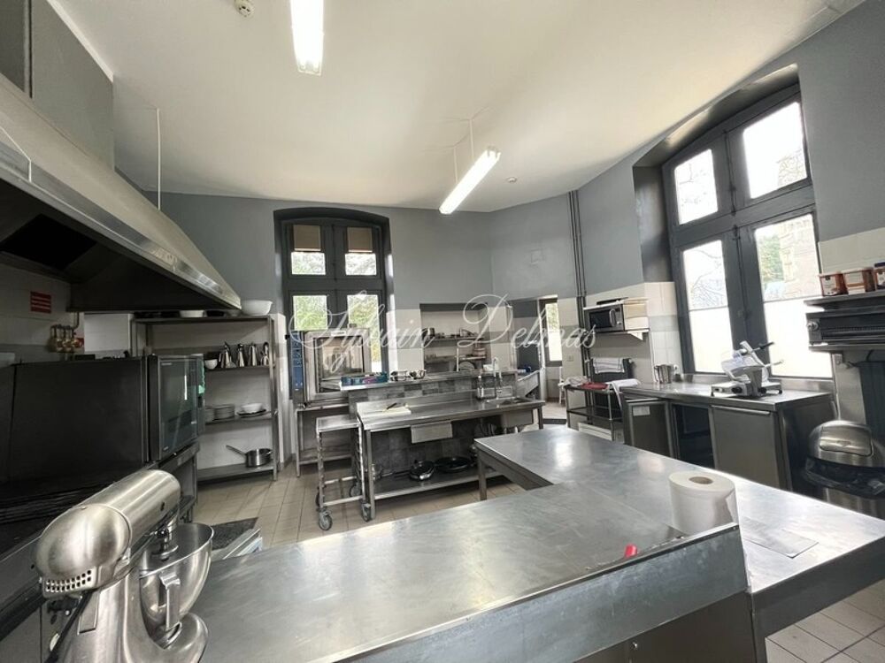 � vendre  Propri�t�/ch�teau Le Mans (72000)
