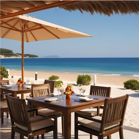 RESTAURANT-GLACIER D'EXCEPTION SAISONNIER (6 MOIS PAR AN) A VENDRE SUR LITTORAL HERAULTAIS PREMIERE LIGNE FRONT DE MER 690000 34300 Agde