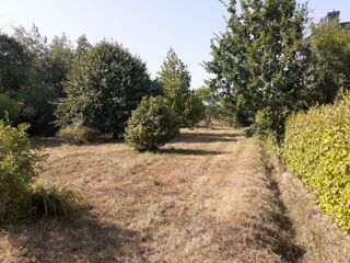  Terrain à vendre 