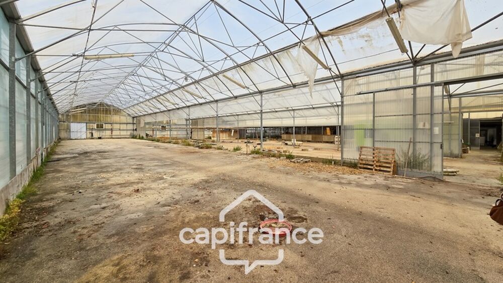 Vente Terrain VENTE TERRAIN 24 893 M²  (71) Gergy