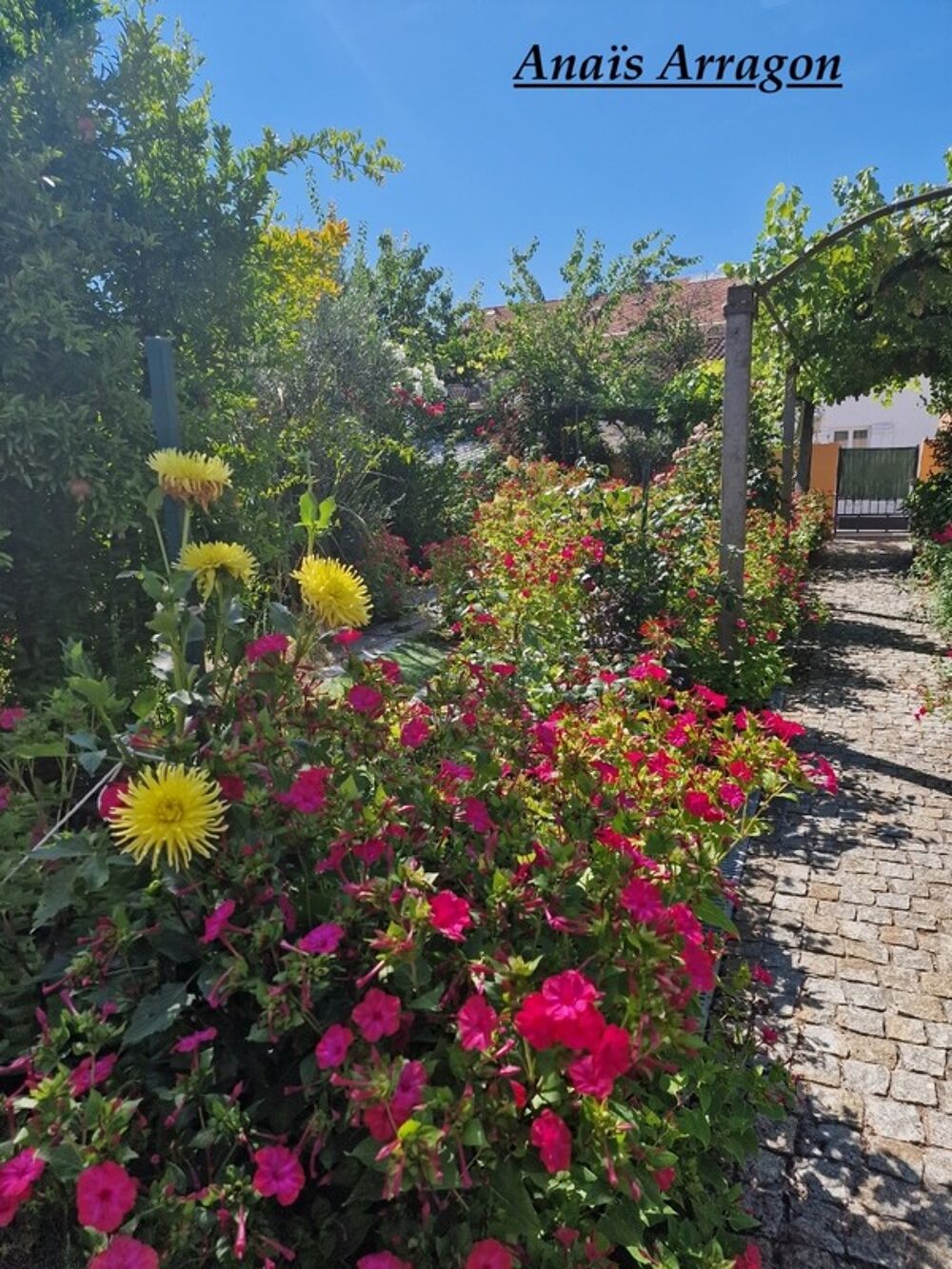 SAINTE LIVRADE SUR LOT (47) Maison de village pleine de charme au coeur de Sainte-Livrade-sur-Lot 4 pièces