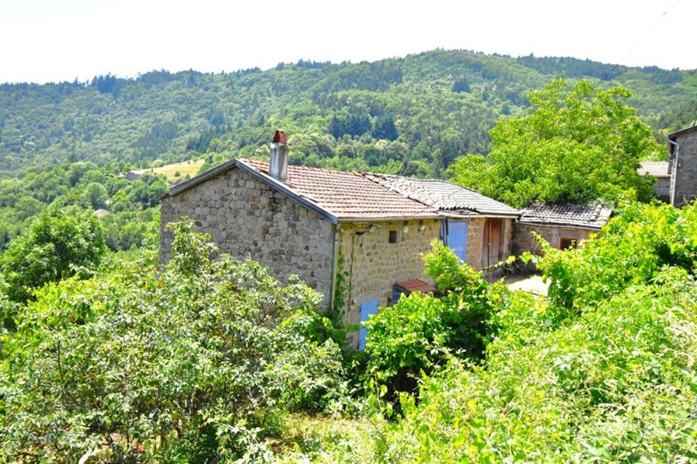 Vente Maison Petite ferme en pierres avec terrain SAINT-JULIEN-D'INTRES (07) Saint julien d intres