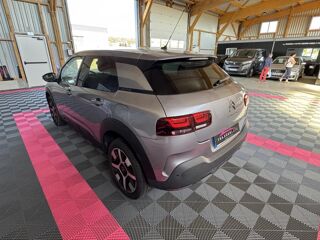 C4 cactus Shine 2019 occasion 56120 Les Forges De Lanouee