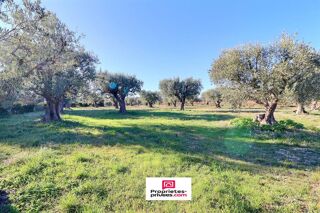  Maison � vendre 14 pi�ces 230 m�
