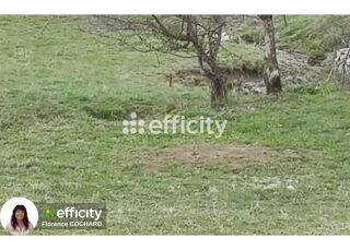  Terrain à vendre 1249 m²