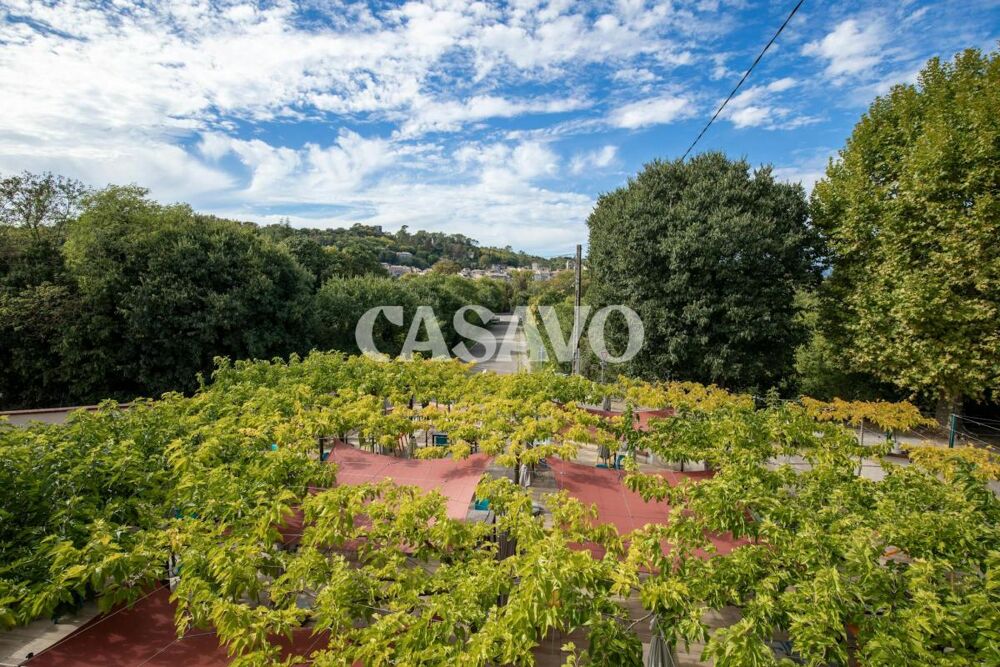 à vendre  Propriété/château 