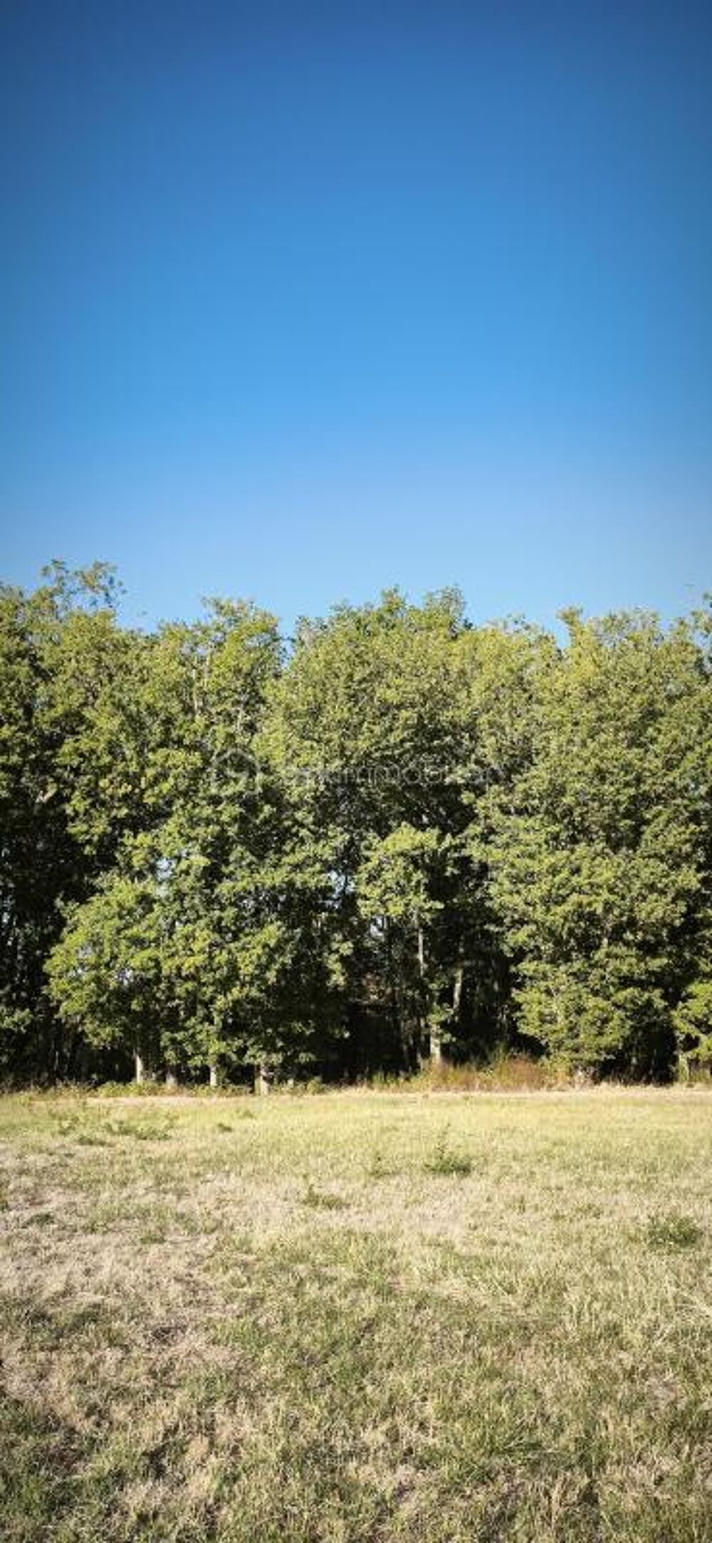 Vente Terrain TERRAIN CONSTRUCTIBLE ET VIABILISE DE 815 M2 Monclar de quercy