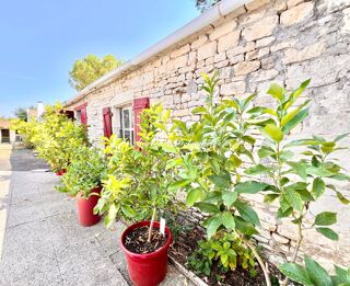 Vente Maison Maison à vendre 9 pièces SAINTE SOULLE (17) Ensemble immobilier rare : deux maisons, grandes dépendances et deux accès Sainte soulle