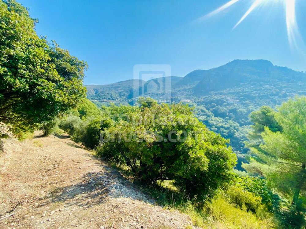 Vente Terrain Terrain Castagniers 1400 m2 Castagniers