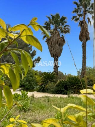 Villa à vendre 4 pièces 160 m²