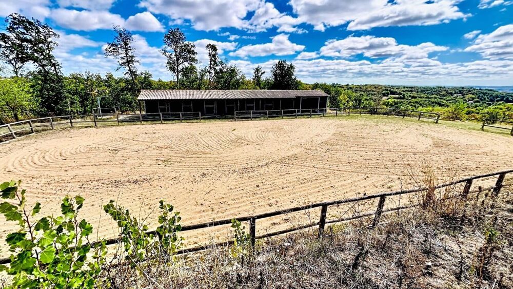 Vente Maison Propriété d'exception aux portes d'Albi 9 pièce(s) 310 m2 Albi