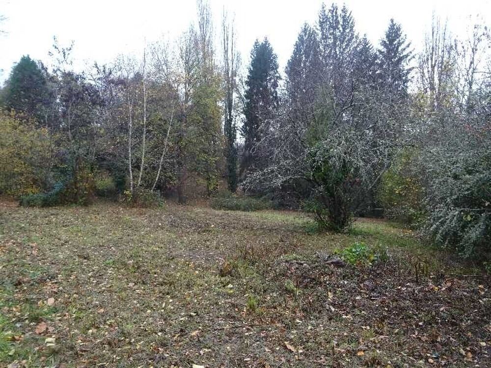 Vente Terrain A PANAZOL BEAU TERRAIN DE 8182 M² AVEC CU DANS UNE IMPASSE Panazol