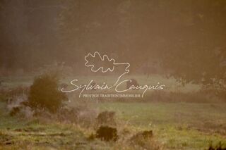  Propri�t�/ch�teau � vendre 15 + pi�ces 800 m�