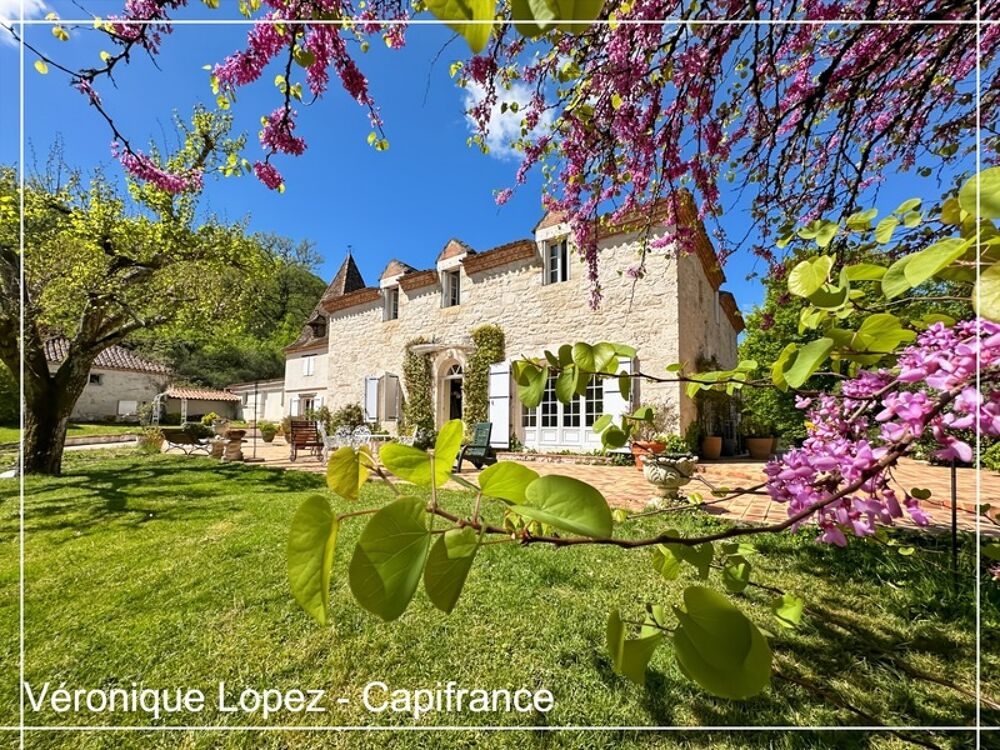 Vente Propriété/Château Golfech, à 10 minutes, propriété de charme au cœur de la nature sur plus de 15 hectares Saint urcisse