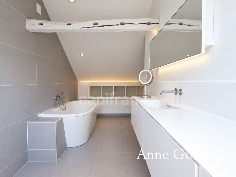 à vendre  Propriété/château Orléans (45000)