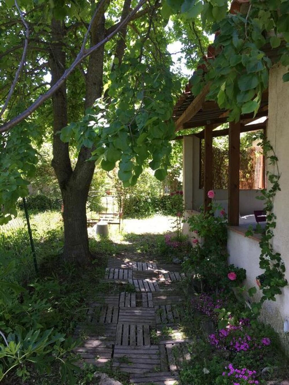 Location Appartement Appartement de 45m2 à louer sur Aix-en-Provence Aix en provence