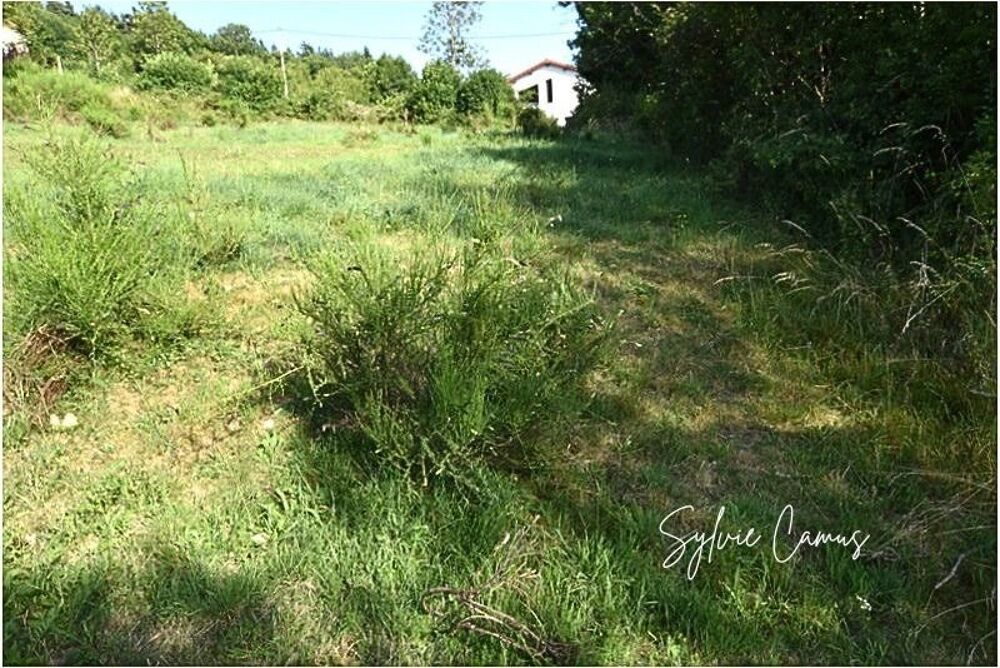 Vente Terrain Terrain à vendre de 1 300,00 m² SAINT PAL DE MONS (43) Saint pal de mons
