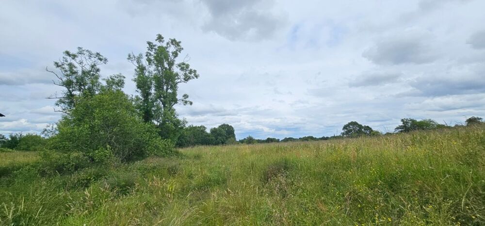 Dpt LANDES (40), à vendre à POUDENX, Maison + grange anciennes à rénover sur 1,7 hectare de terrain, au calme