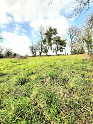 Vente Terrain Terrain 2390 m² à Montrol-Sénard Montrol senard