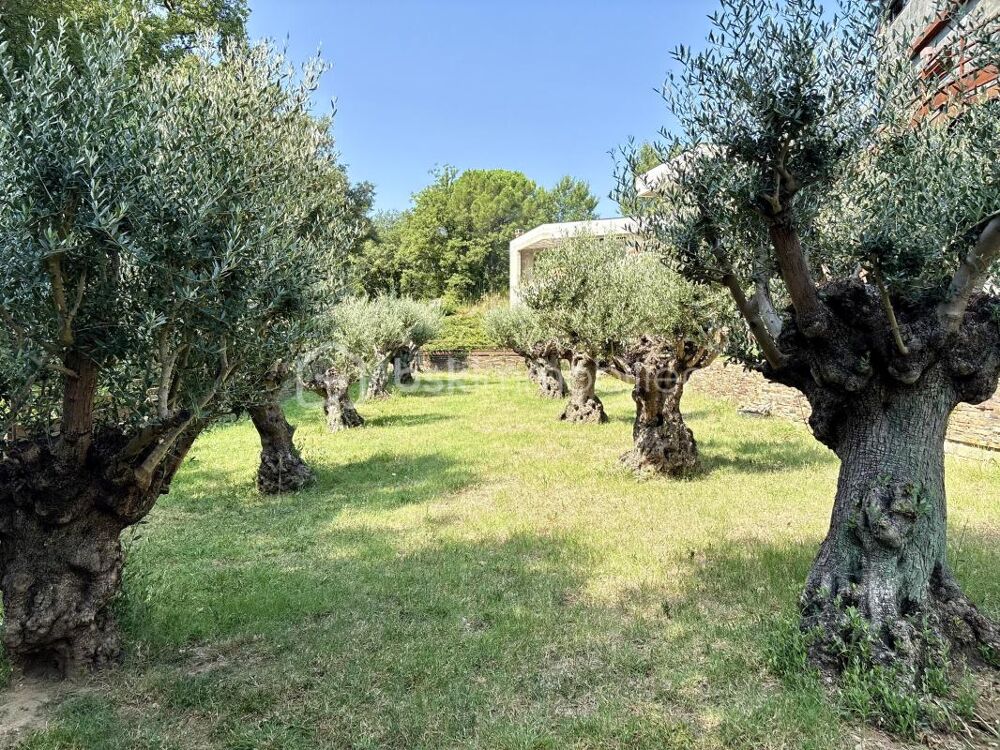 � vendre  Villa Saint-Jean-Pla-de-Corts (66490)