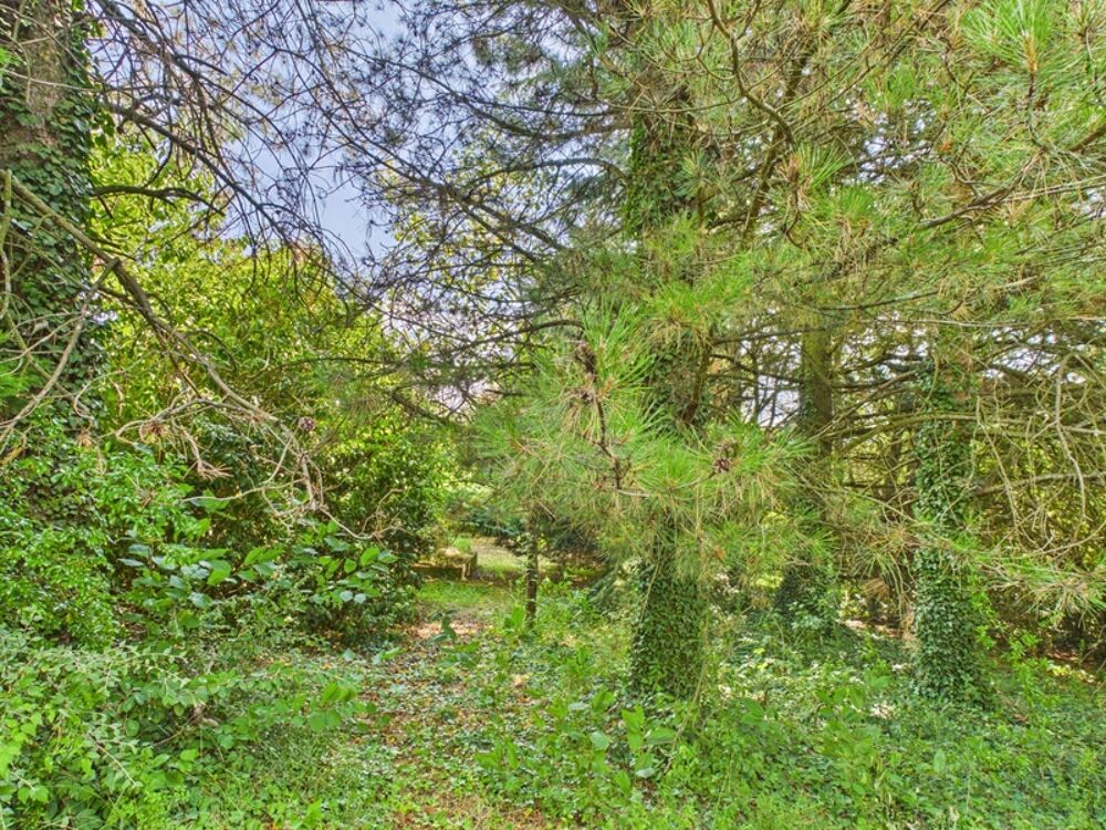à vendre  Maison Saint-Cyr-sur-le-Rhône (69560)
