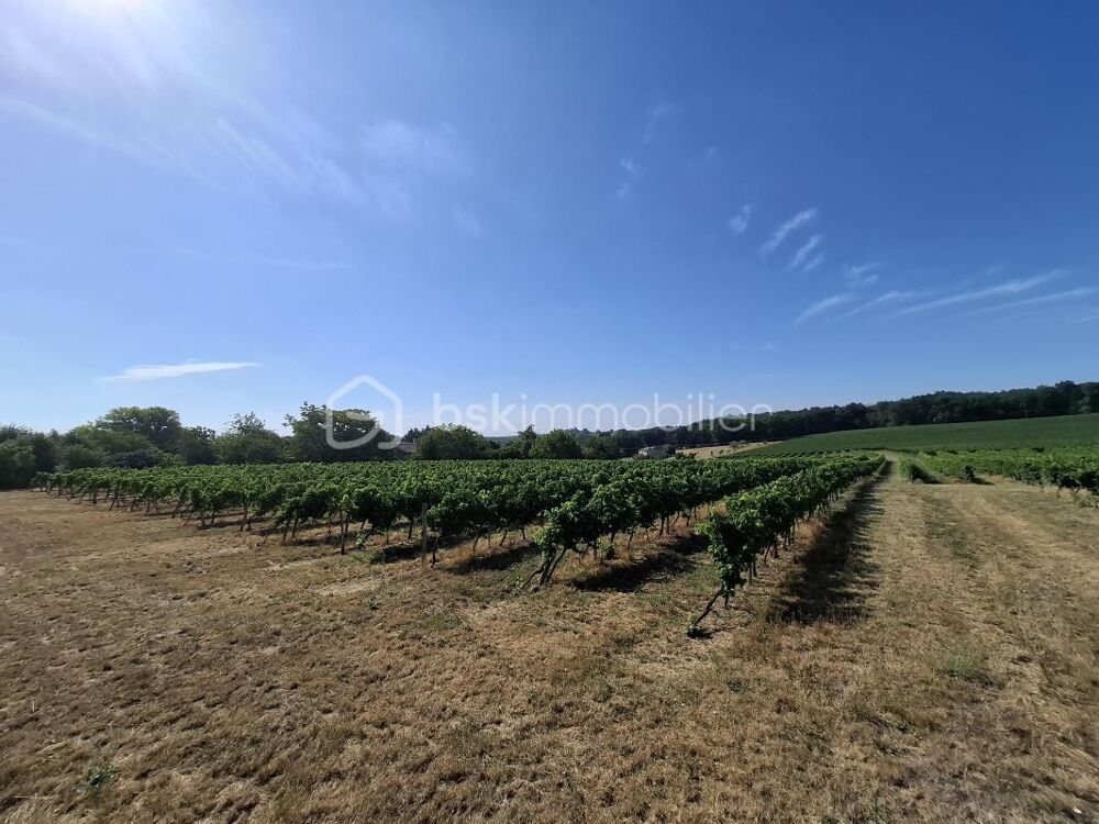 Vente Terrain Terrain à bâtir de 1956 m² – Mérignas (33350) Merignas