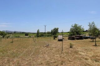  Terrain à vendre 1 pièce 10145 m²