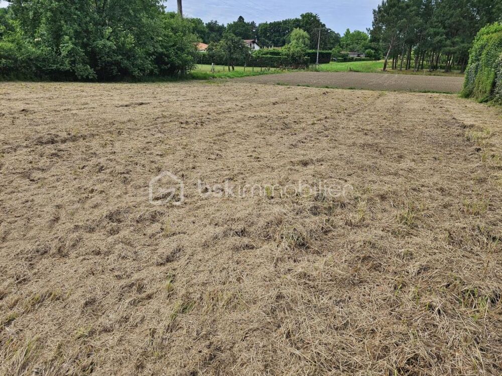 Vente Terrain ? Terrain à bâtir – Aire-sur-l'Adour ? Aire sur l adour
