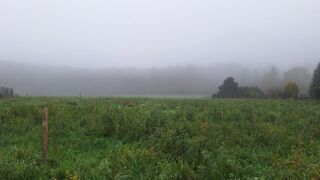  Terrain  vendre 1234 m