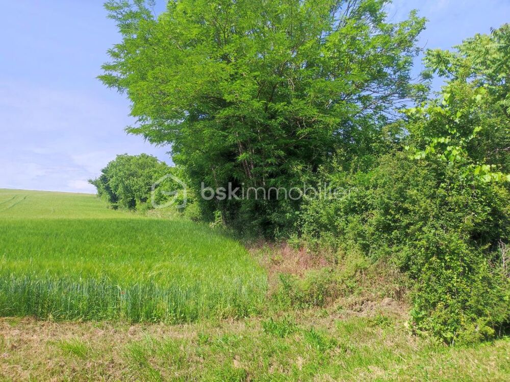 Vente Terrain ? Terrain constructible de 3 630 m² – Cadre boisé et environnement privilégié Saint florentin