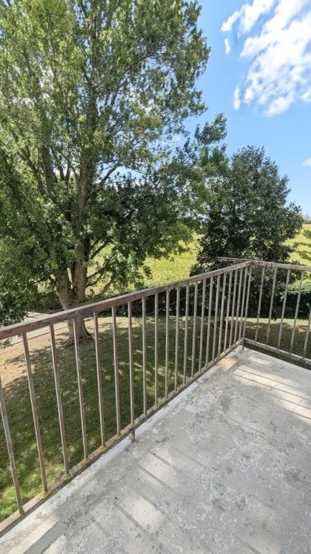 Location Appartement 45500009 - Appartement - F3 - Pfetterhouse (68480) Pfetterhouse
