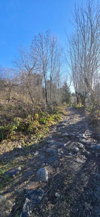  Remise / Grange � vendre 1 pi�ce 50 m�