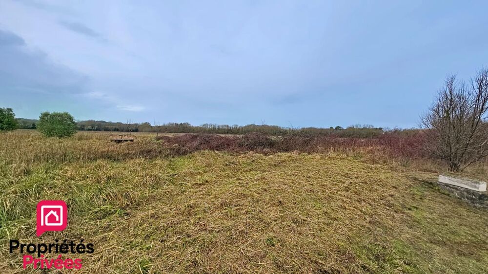 Vente Terrain Terrain  de loisir Chaillevette 1186 m2 Chaillevette