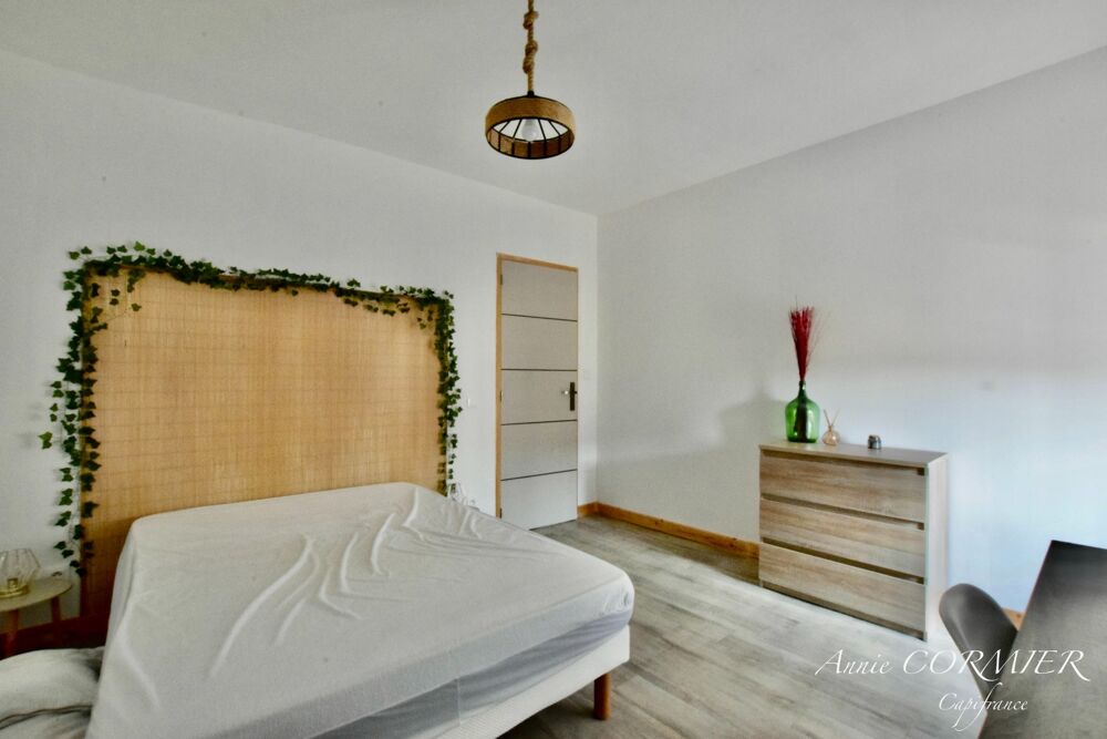 Vente Maison Maison ancienne rénovée - 3 appartements et grande grange Villemurlin