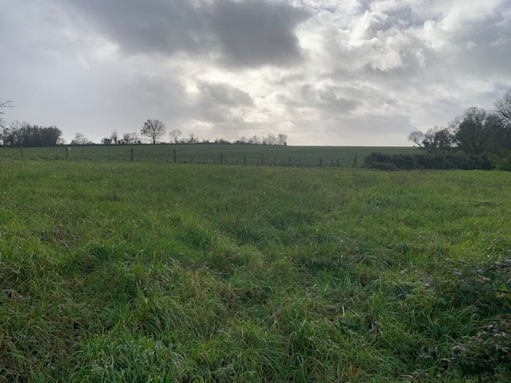 Vente Terrain Terrain Saint Martin Lars En Sainte He 1122 m2 Saint martin lars en sainte he