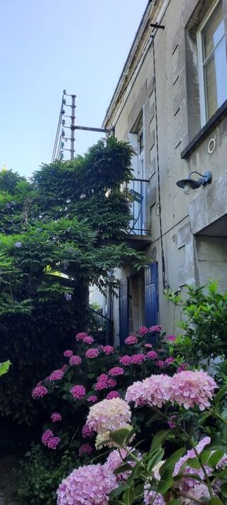  Appartement à louer 1 pièce 16 m²
